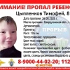 В Артемовском пропал 8-летний мальчик