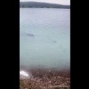 Водоем загрязнили у острова Зуй в Братске Природоохранная прокуратура...