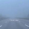 Московская область сегодня как в Silent Hill. 🇷🇺 Источник: ЧП МОСКВА