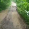 В Лужском районе Ленобласти до деревень Путятино и Павшино оказалась размыта...