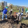 20 сентября в Красноярске состоится общегородской осенний субботник. Чтобы...