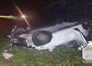 Водитель иномарки погиб в ДТП с лосём