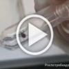 Больше 1,5 тысяч человек пострадали от укусов клещей в...
