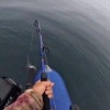 Рыбак устроил бой с акулой у берегов Сахалина В районе Невельска мужчина...