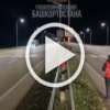 Даже кабаны соблюдают ПДД - обратил внимание начальник ГИБДД Башкирии Севастьянов.