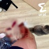 Пьяные мужики устроили драку в екатеринбургском Академе — одному парню...