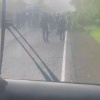 Дерево рухнуло из-за ветра на проезжую часть. Инцидент...