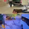 В Турции отец случайно задавил насмерть полуторагодовалого сына