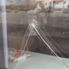 Вандалы терроризируют Дворец культуры 