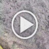 В микрорайоне ОбьГЭС жительница Новосибирска пришла с...