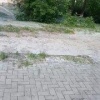 Город засыпает — просыпаются поджигатели пуха В разных районах Екатеринбурга...