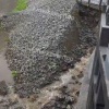 Новую набережную в центре Кемерова уже смывает. 🇷🇺 Источник: ЧП Кузбасс