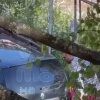 Я вижу, что люди в белых халатах меня хотят увести Внезапный приступ агрессии...