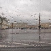 Лето в Питере ВСЁ: термометры в восточной части Ленобласти сегодня ночью...