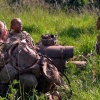 Женщин в Дании обязали проходить военную службу. Об этом сообщает Reuters.