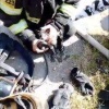 В Истре пожарные спасли котенка из огня 30 человек успели эвакуироваться...