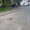На Королёва солевому путешественнику помогли добраться до дома случайные...