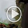 В Приморском крае супружеская пара побила чужого ребенка якобы за то, что он душил их дочку.