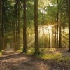 Сибирь накроет аномальное тепло: температура поднимется до +29 °C В ближайшие...