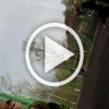 В Приморье супружеская пара избила ребенка, папа которого находится на СВО