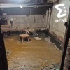 В екатеринбургском доме на Восточной трубы не меняли с самого строительства....