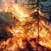 В Красноярском крае горит больше 370 тысяч гектаров леса. За последние сутки...