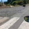 Доказательство того, что мы живем в матрице и все заскриптовано Источник: 🤔 авто