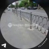 Сегодня утром на улице 40-летия Октября водитель...
