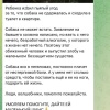 Фейк об избиении собаки распространяют в Иркутской области В пресс-службе...