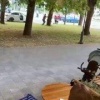 В Нальчике стрельба. Напали на сотрудников ДПС в Нальчике: один из нападавших ликвидирован.