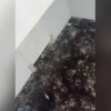 Золото мыли, а рыбу не вернули: после иска природоохранной прокуратуры в Енисей выпустили 141 тыс. мальков