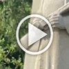 Граждане попытались сорвать возложение цветов в Норвегии