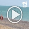 Пока отдыхающие на пляже в Новофёдоровке ели кукурузу, двое творили любовь.