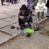 Мужика, который жонглировал ежом на школьной линейке, жёстко задержали в...