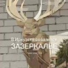 Новые арт-объекты в Иркутске