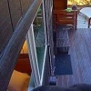 Пир за чужой счет: прожорливый медведь опустошил холодильник в охотничьем домике