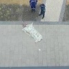 -В Тюмени школьница спрыгнула с 25 этажа на глазах дворника и от удара у погибшей вылетели мозги.