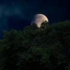 🌑 Приморцы смогут наблюдать суперлуние 7 октября. В течение октября Луна...