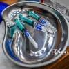 Белгород: проходит плановая вакцинация от гриппа — привиты сотрудники городской администрации