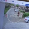 На Камчатке стая собак набросилась на маму с малышом — животные живут на детской площадке и годами «кошмарят» местных