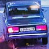Водитель Жигулей нарочно проехал по собаке на АЗС Транзит в Пашино, после чего уехал