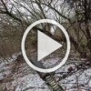 ❗️В сети появилось видео, как северокорейский солдат...