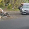 Эконадзор выявил новые факты незаконного сброса мусора в Канске Инспекторы...