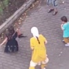 В Приморье дети забили голубя до смерти палками
