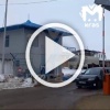 Лошади признали, что они проигрывают машинам, ушли из...