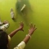 Ничего необычного, просто русалка в одном из индийских океанариумов. 🤔 Мы не...