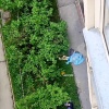 Мужчина погиб после падения из окна дома №42 на улице Высоцкого в Октябрьском районе нашего города