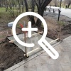 В скверах города продолжается благоустройство. Так, в...