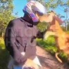 В Таиланде байкер остановился посмотреть на оленя, а тот набросился на него