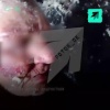 Зумеры в течение 3 дней жестоко издевались над пожилой женщиной